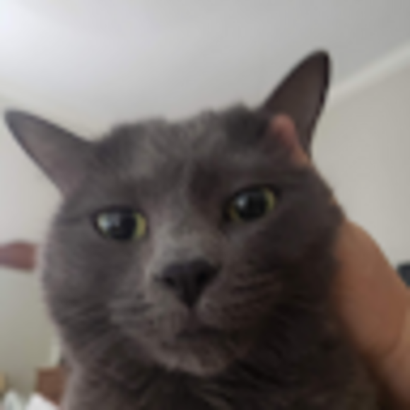 stephaniemcl417